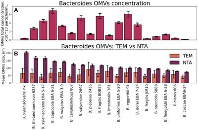 Investigating volatile compounds in the Bacteroides secretome